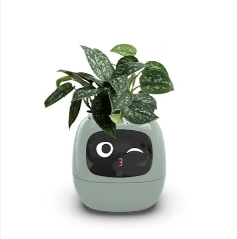 Smart AI Planter