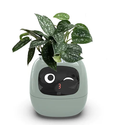 Smart AI Planter